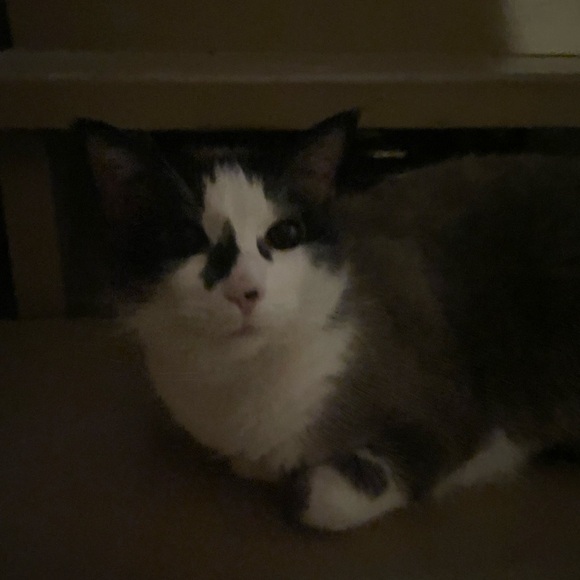 Hii! - Picture 3 of 3